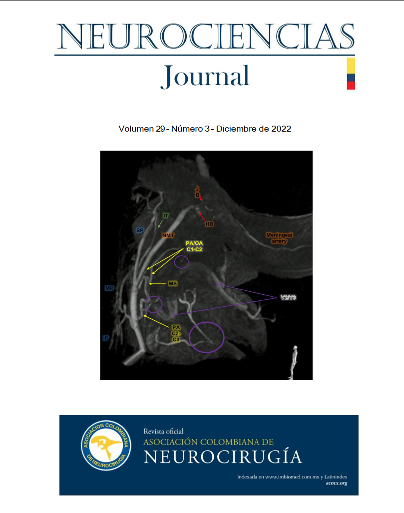 					View Vol. 29 No. 3 (2022): Neurociencias Journal
				