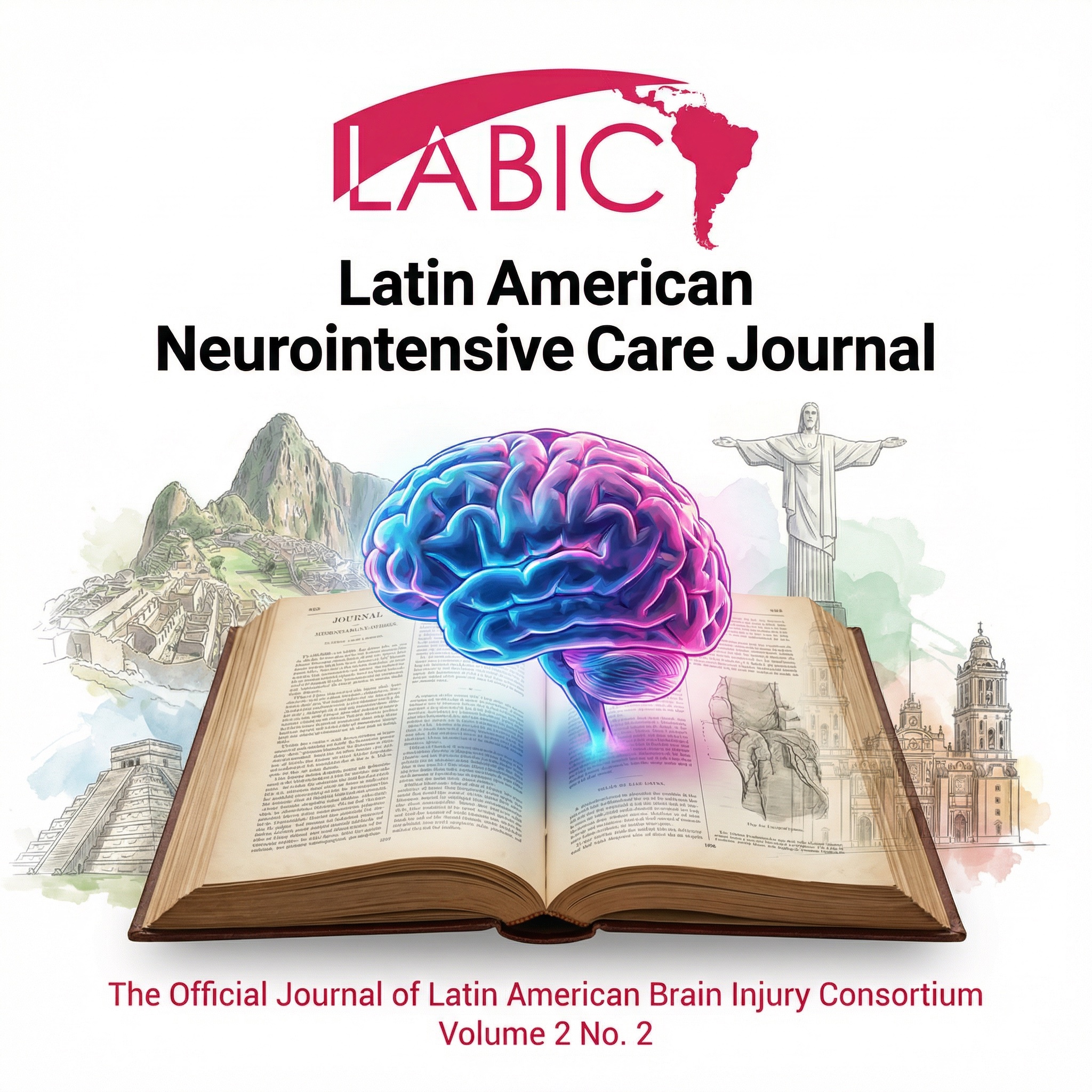 					Ver Vol. 2 Núm. 2 (2025): LATIN AMERICAN NEUROINTENSIVE CARE JOURNAL
				